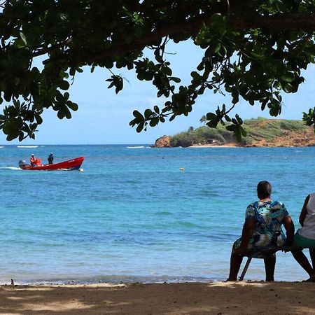 Retraite Tropicale En Bord De Mer La Trinité Exteriör bild